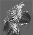 Alangoya